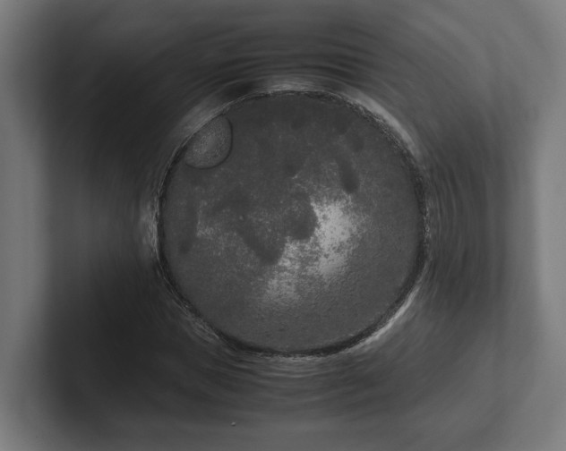 X0000102300921200808011359