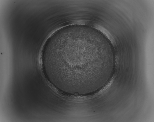 X0000102300923200808011359