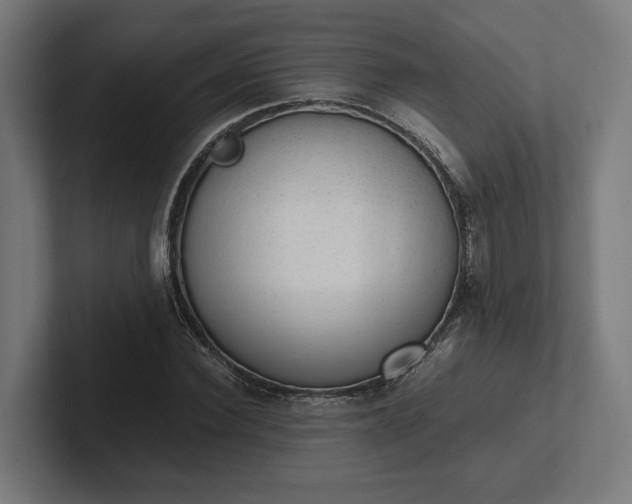 X0000102300924200808011359