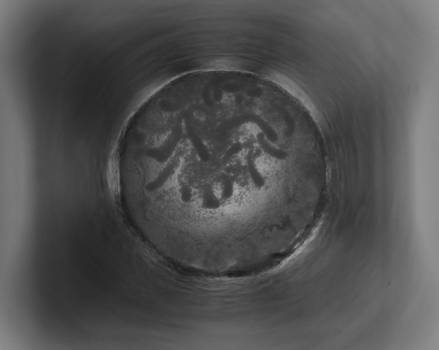 X0000102300925200808011359