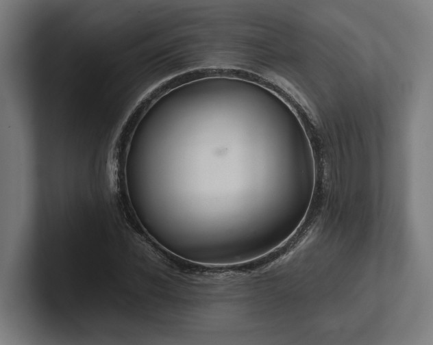 X0000102300926200808011359