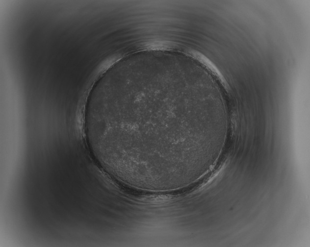 X0000102300930200808011359