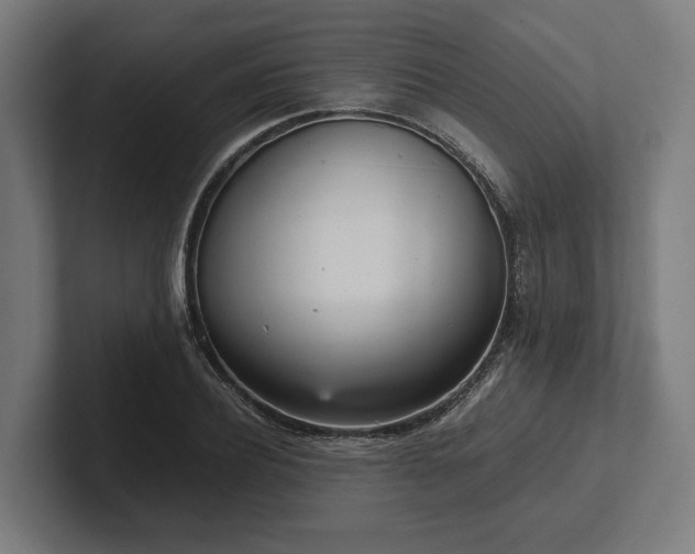 X0000102300932200808011359