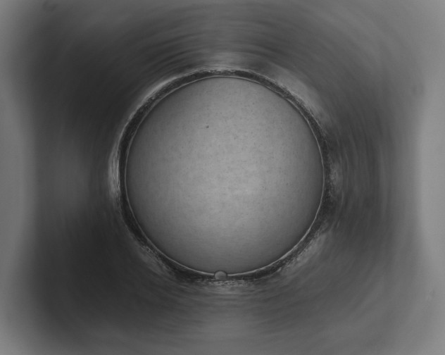 X0000102300934200808011359