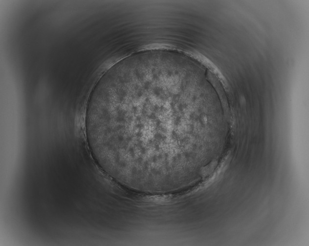 X0000102300937200808011359