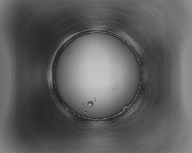 X0000102300940200808011359