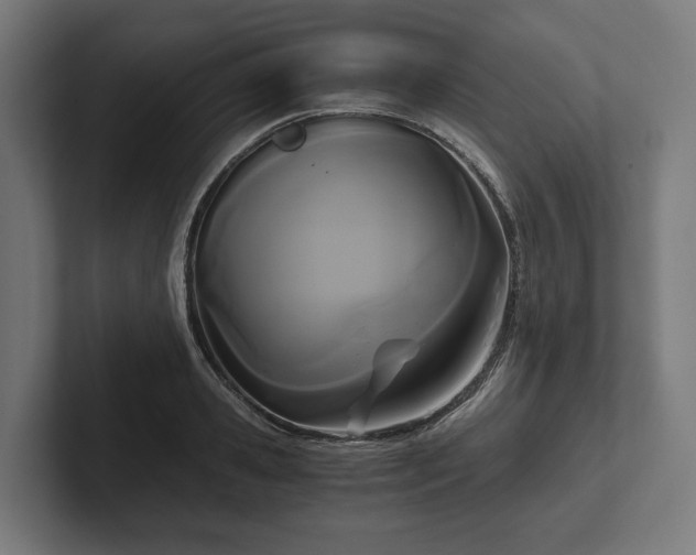 X0000102300941200808011359