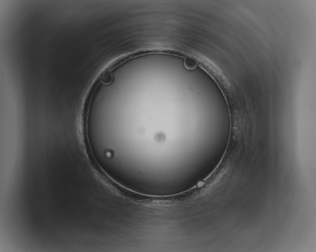 X0000102300942200808011359