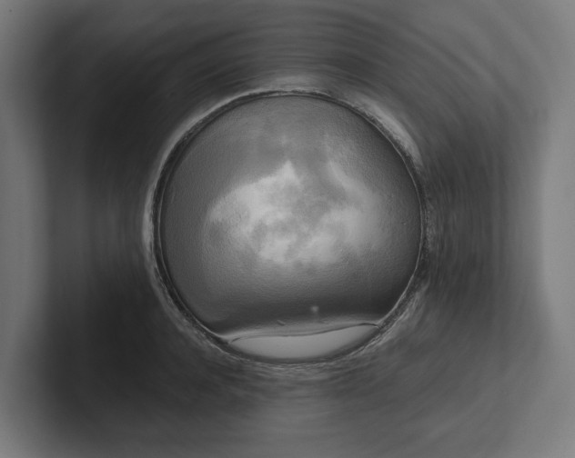 X0000102300944200808011359