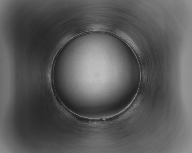 X0000102300946200808011359