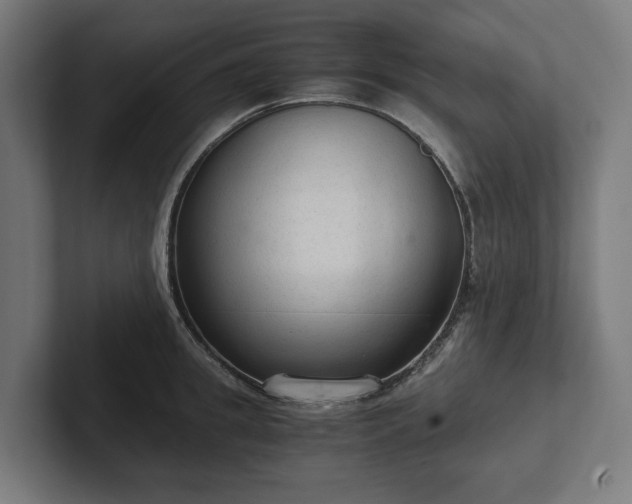 X0000102300949200808011359