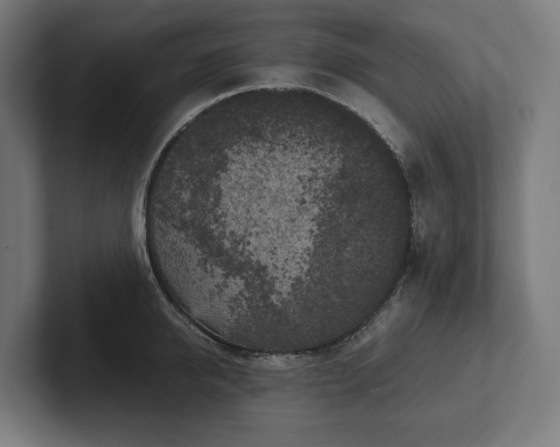 X0000102300950200808011359