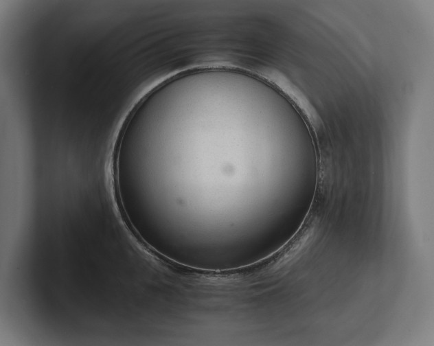 X0000102300951200808011359