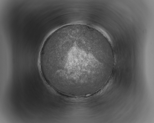 X0000102300952200808011359