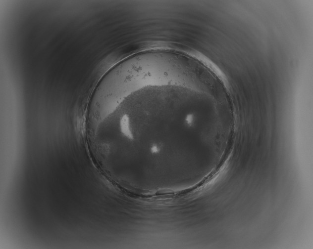 X0000102300953200808011359