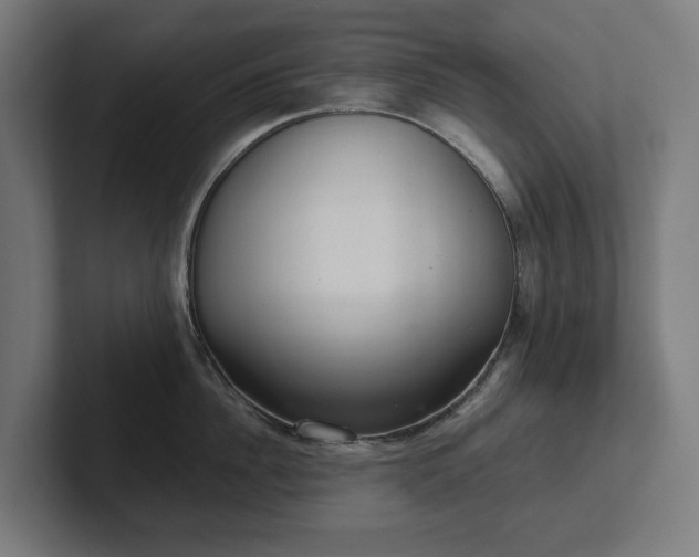 X0000102300956200808011359