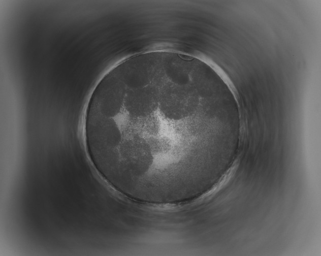 X0000102300957200808011359