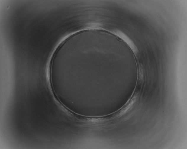 X0000102300958200808011359