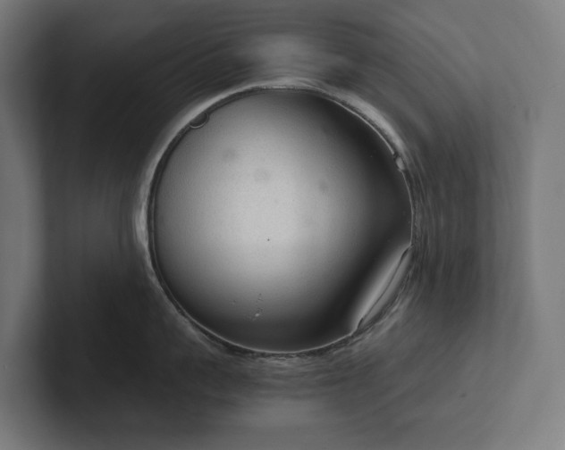 X0000102300959200808011359