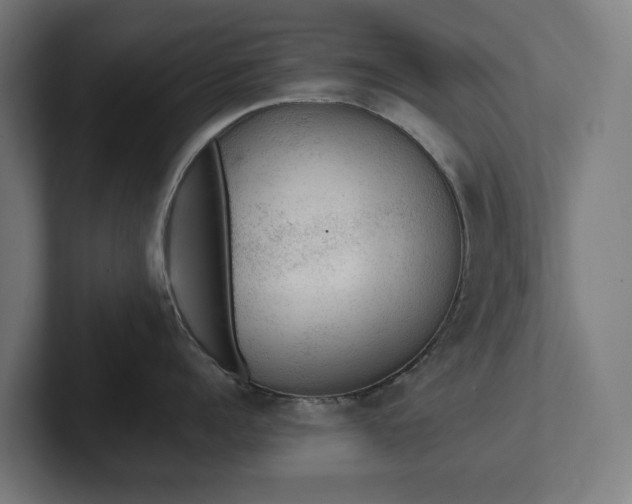 X0000102300960200808011359