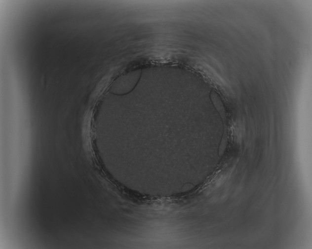 X0000102300961200808011359