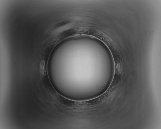 X0000102300963200808011359