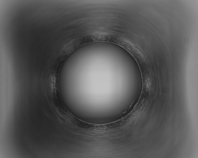 X0000102300964200808011359