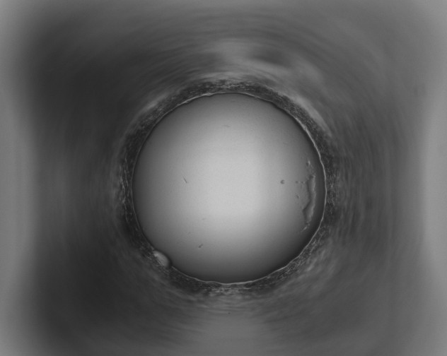 X0000102300967200808011359