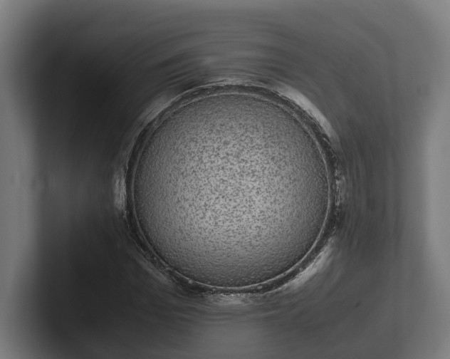 X0000102300969200808011359