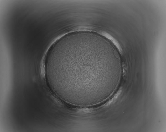 X0000102300973200808011359