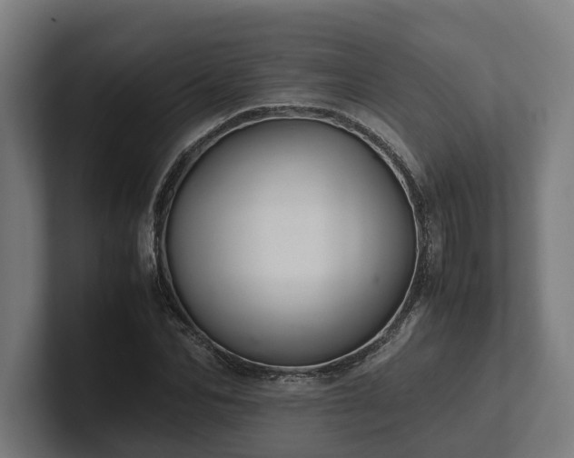 X0000102300974200808011359