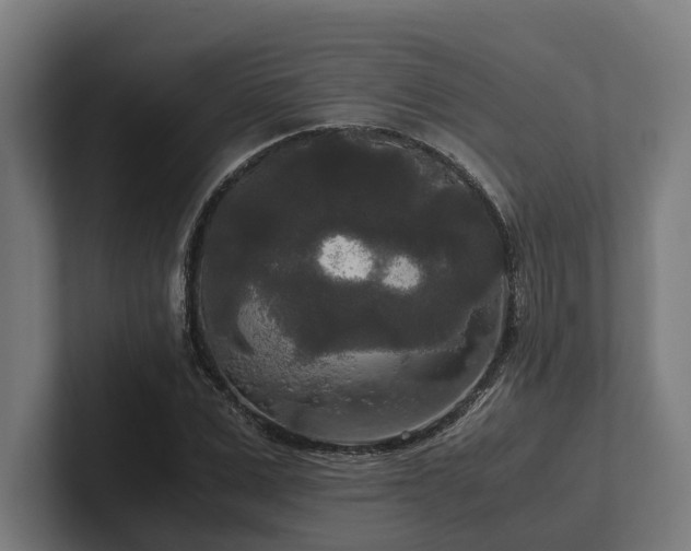 X0000102300975200808011359