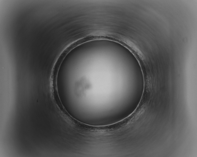 X0000102300976200808011359