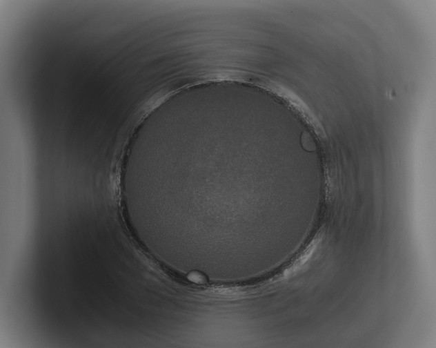 X0000102300977200808011359