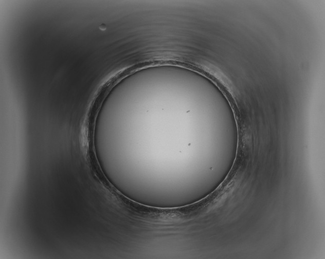 X0000102300979200808011359