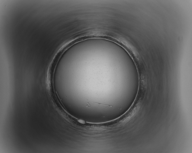 X0000102300981200808011359