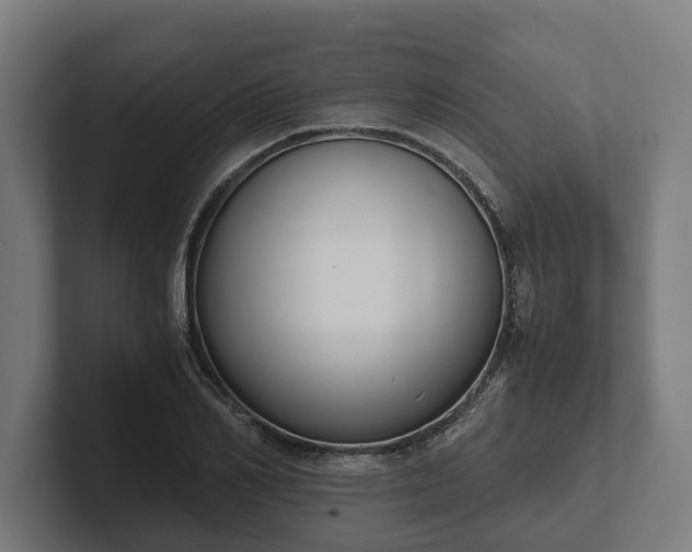 X0000102300982200808011359