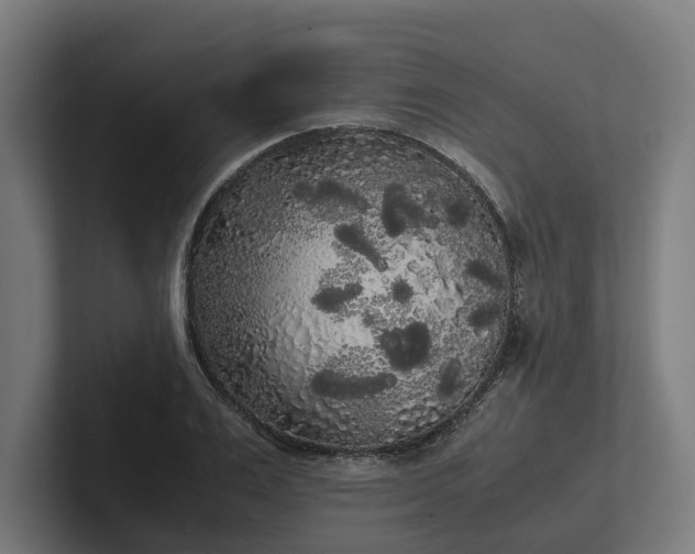 X0000102300983200808011359