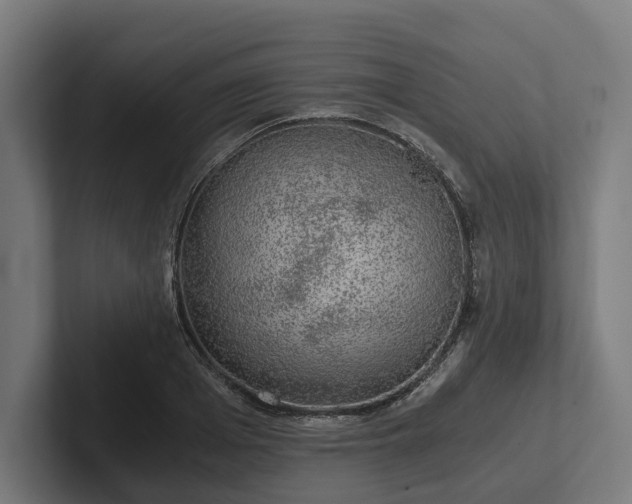 X0000102300985200808011359