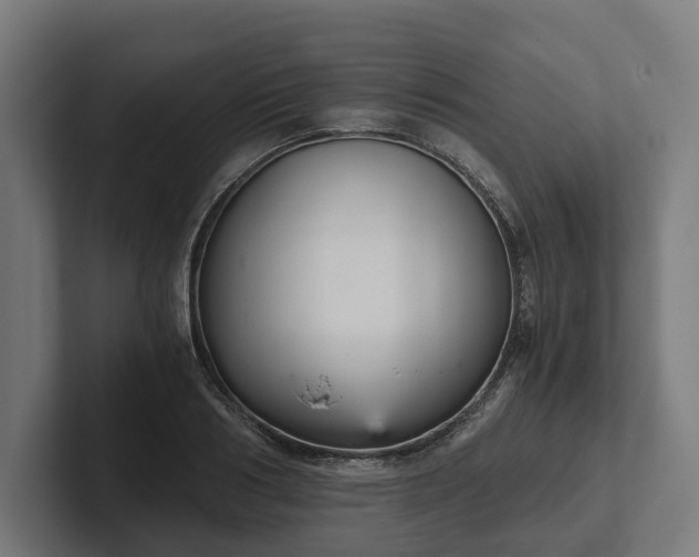 X0000102300986200808011359