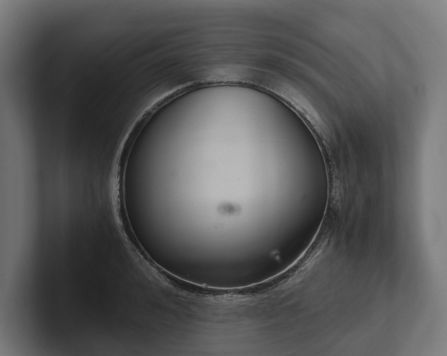 X0000102300992200808011358