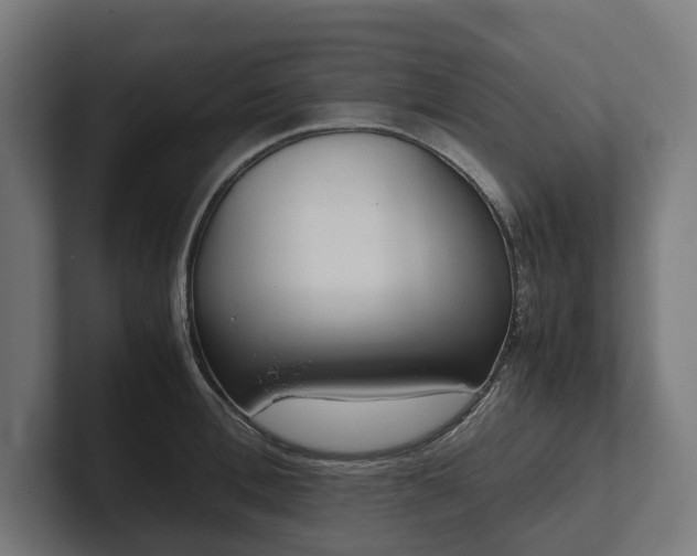 X0000102300996200808011358