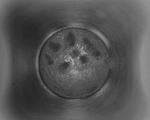 X0000102300999200808011358