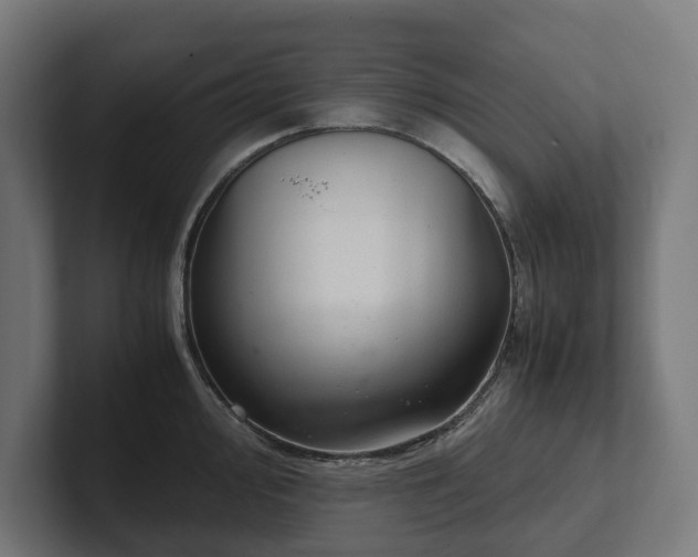 X0000102301000200808011358