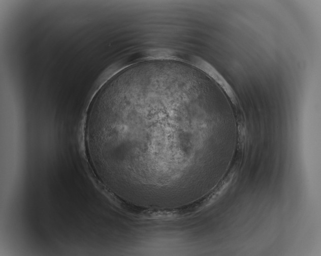 X0000102301002200808011358