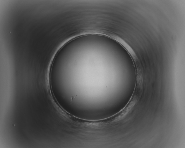 X0000102301004200808011358