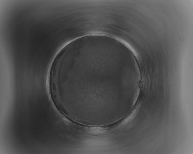 X0000102301007200808011358