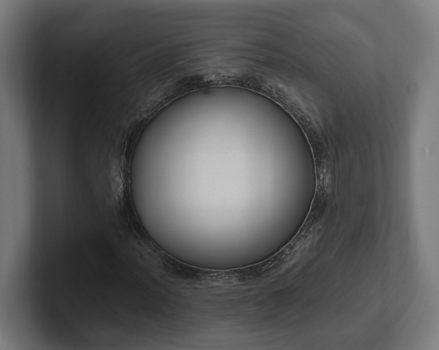 X0000102301012200808011358