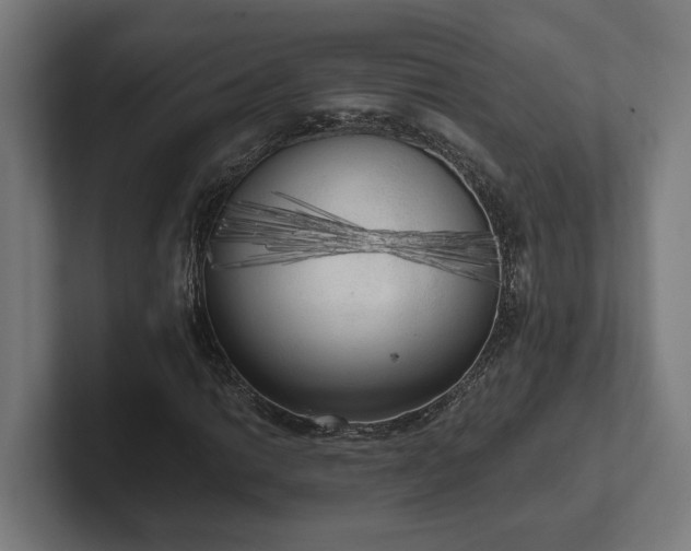 X0000102301014200808011358
