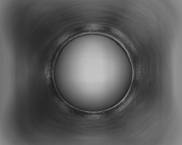 X0000102301017200808011358